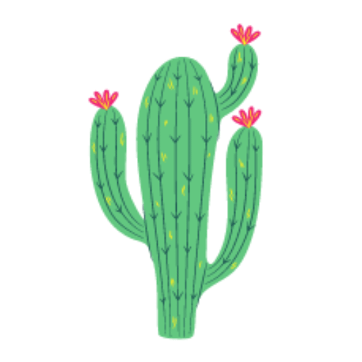 Cactus Flower Kitchen